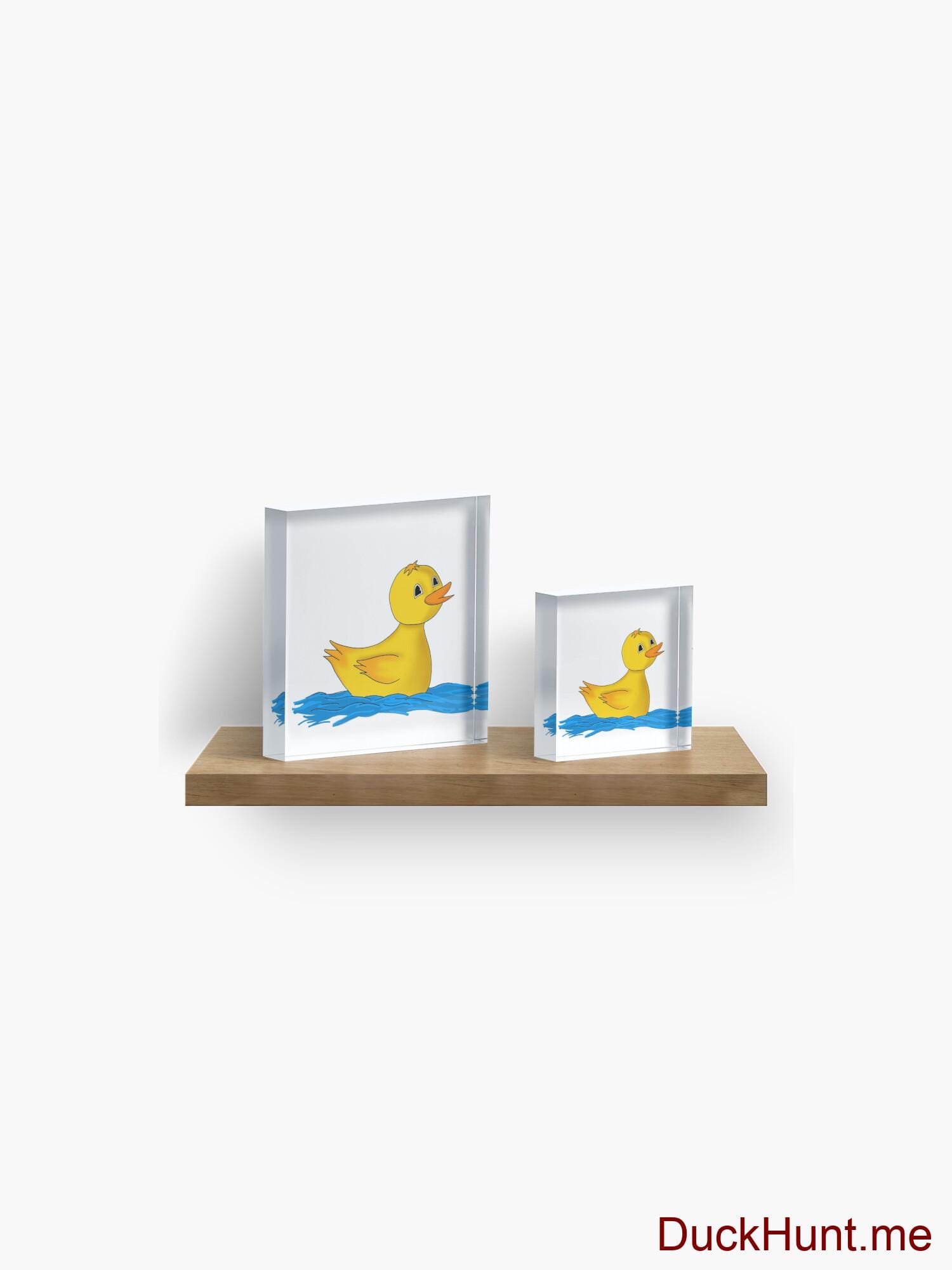 Plastic Duck Acrylic Block alternative image 4
