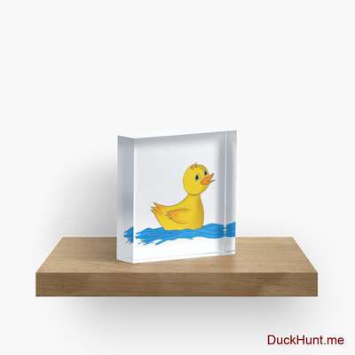 Plastic Duck Acrylic Block image