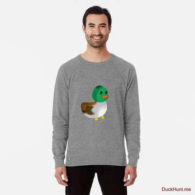 Normal Duck Grey Lightweight Sweatshirt image