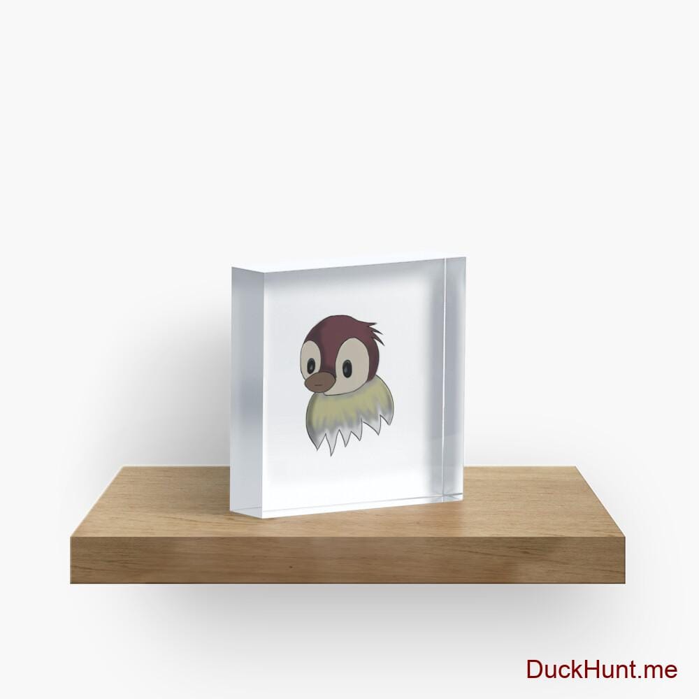 Ghost Duck (fogless) Acrylic Block