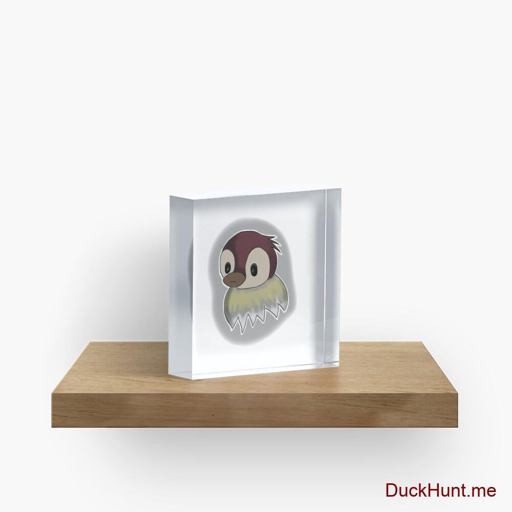 Ghost Duck (foggy) Acrylic Block