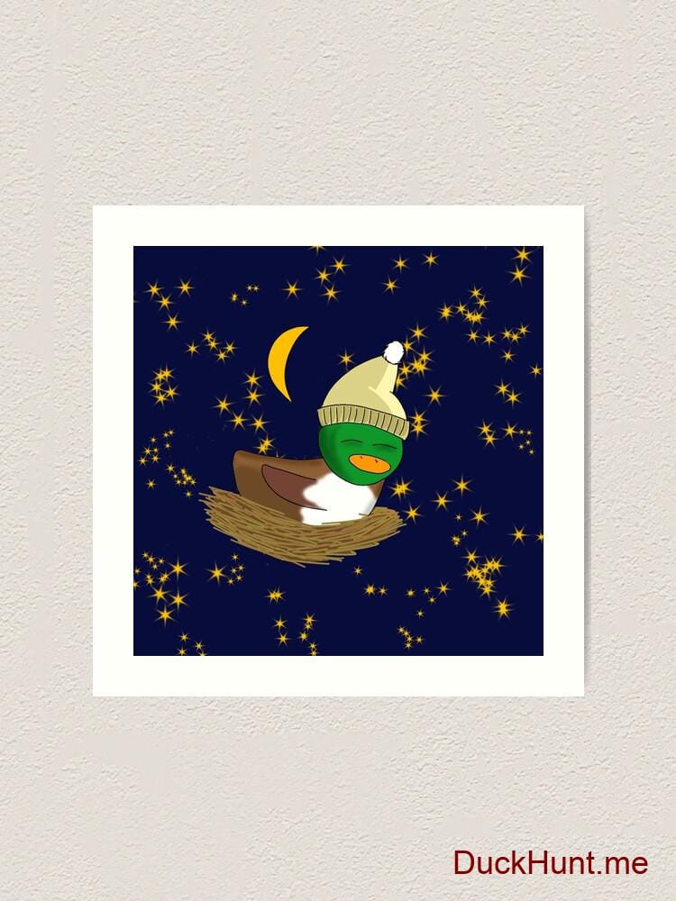 Night Duck Art Print alternative image 1