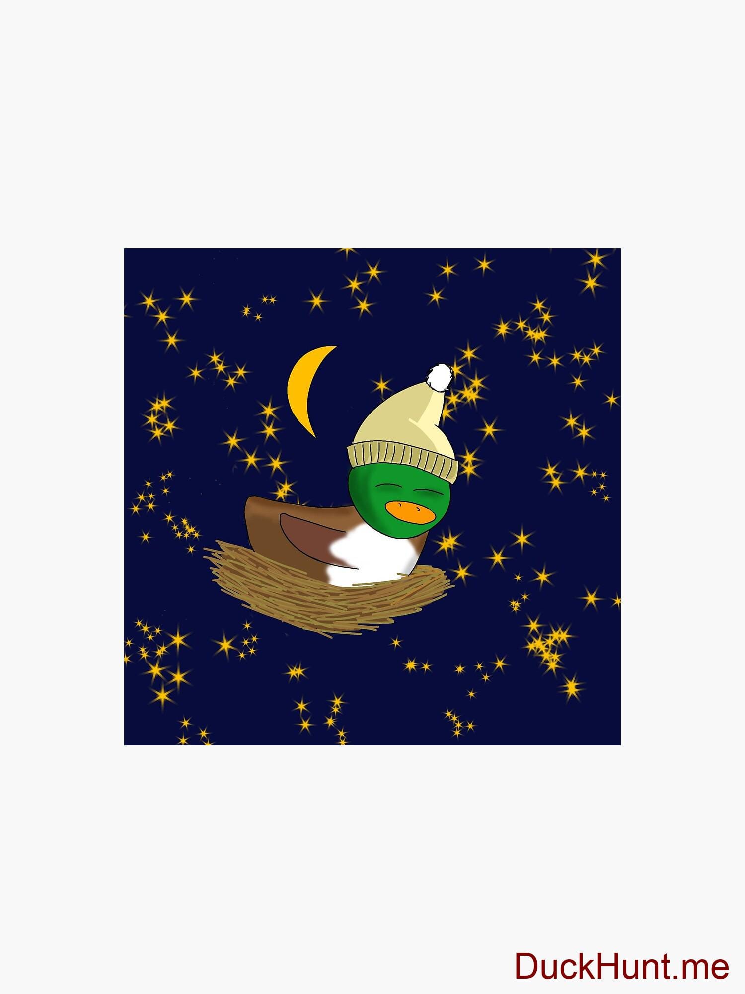 Night Duck Coasters (Set of 4) alternative image 2