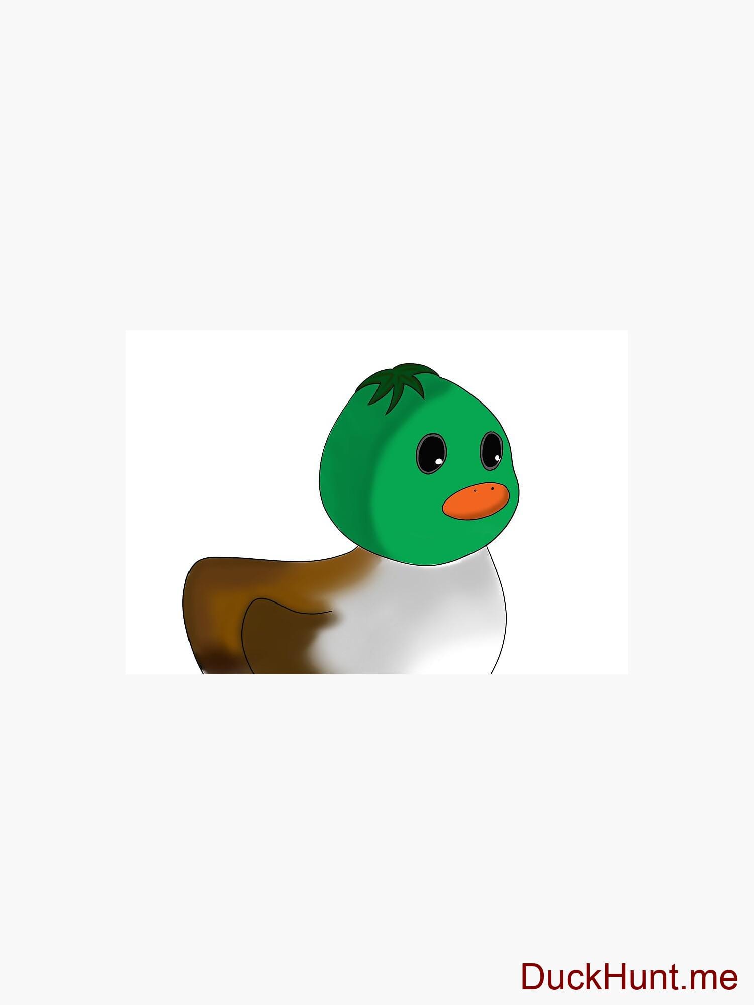 Normal Duck Mask alternative image 2