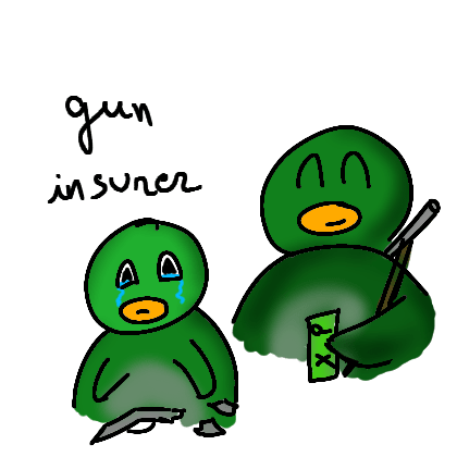 Gun insurer